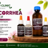 LEUCORREA